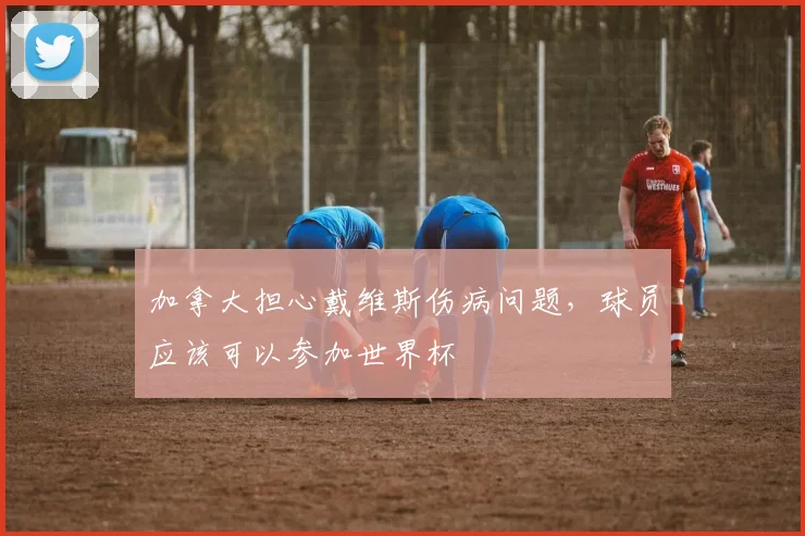 加拿大担心戴维斯伤病问题，球员应该可以参加世界杯