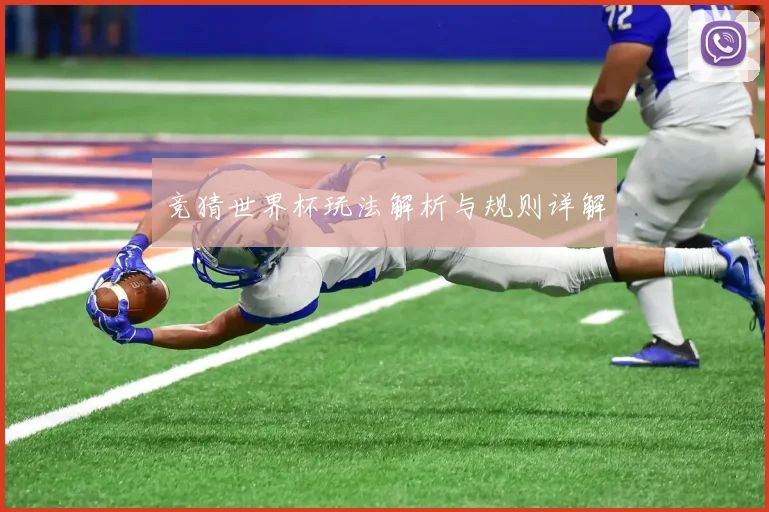 竞猜世界杯玩法解析与规则详解